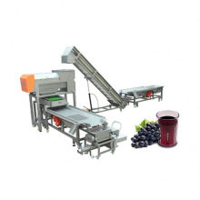 Escovas de nylon para classificação de uva e linha de produção de suco